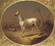 Theodor Horschelt A Grey Arabian Horse Sweden oil painting artist